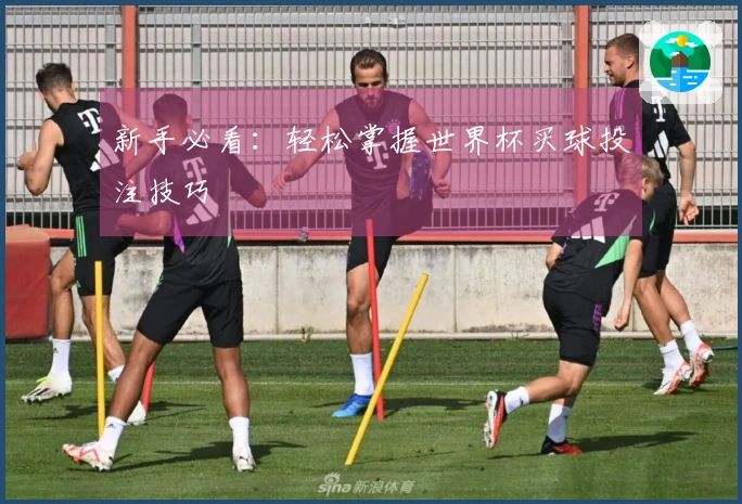 新手必看：轻松掌握世界杯买球投注技巧