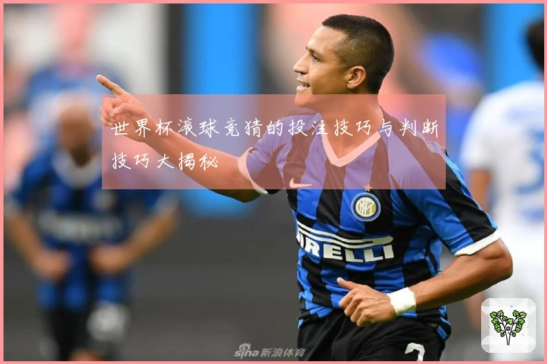 世界杯滚球竞猜的投注技巧与判断技巧大揭秘