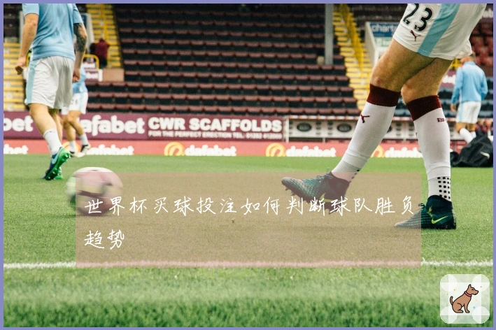 世界杯买球投注如何判断球队胜负趋势