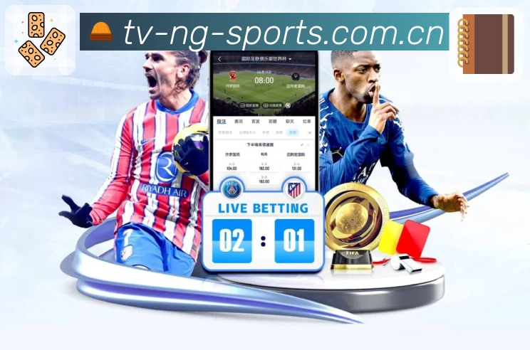 <strong>NG体育</strong>画质与播放优化能力